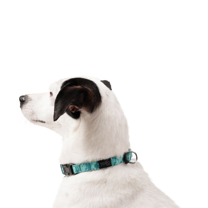 totto-pets-collar-ajustable-perro-mylu-verde
