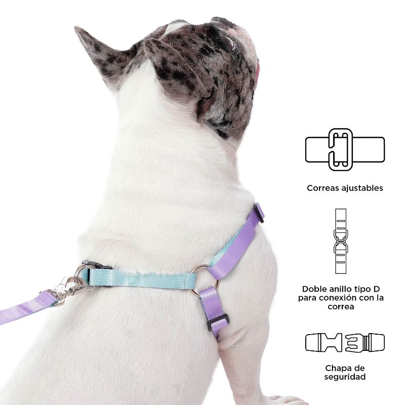 totto-pets-arnes-de-caminata-brunno-morado