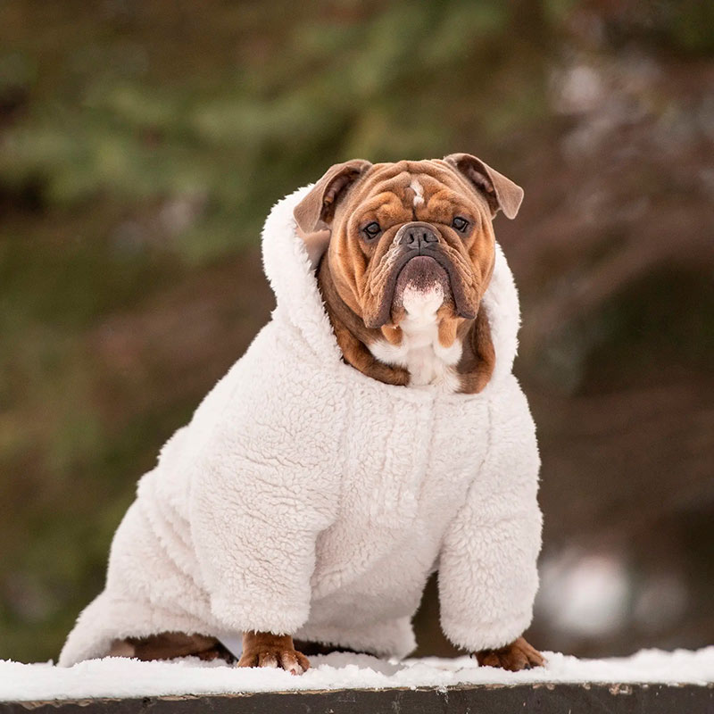 gf-pet-poleron-cozy-blanco