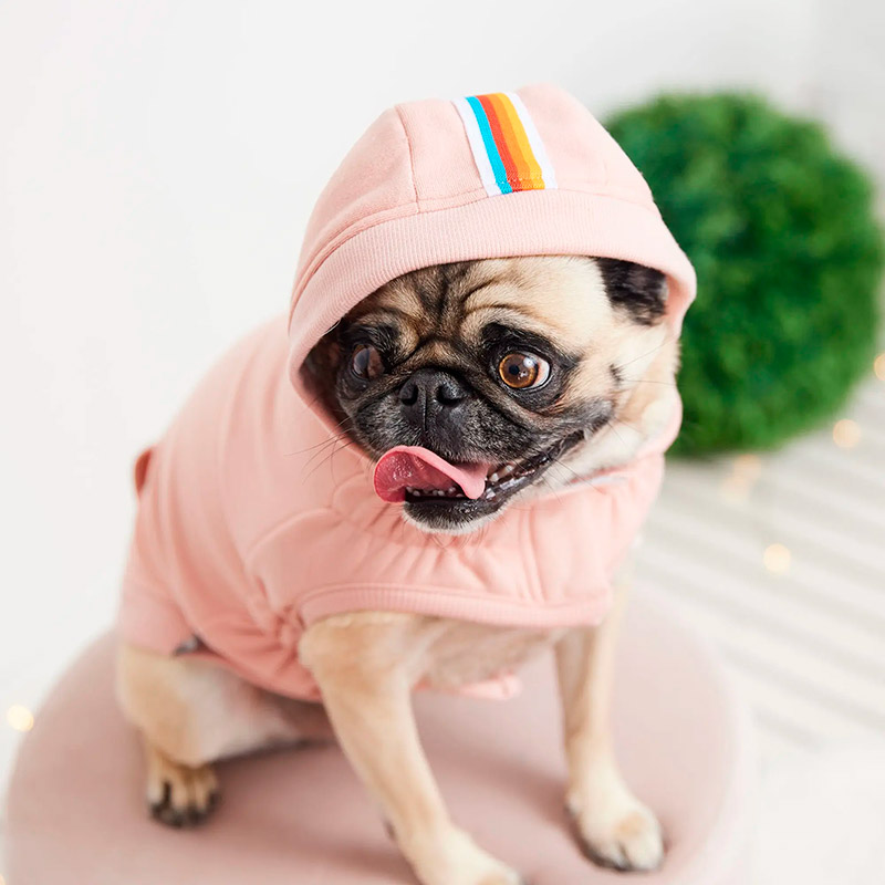 gf-pet-poleron-urban-rosa