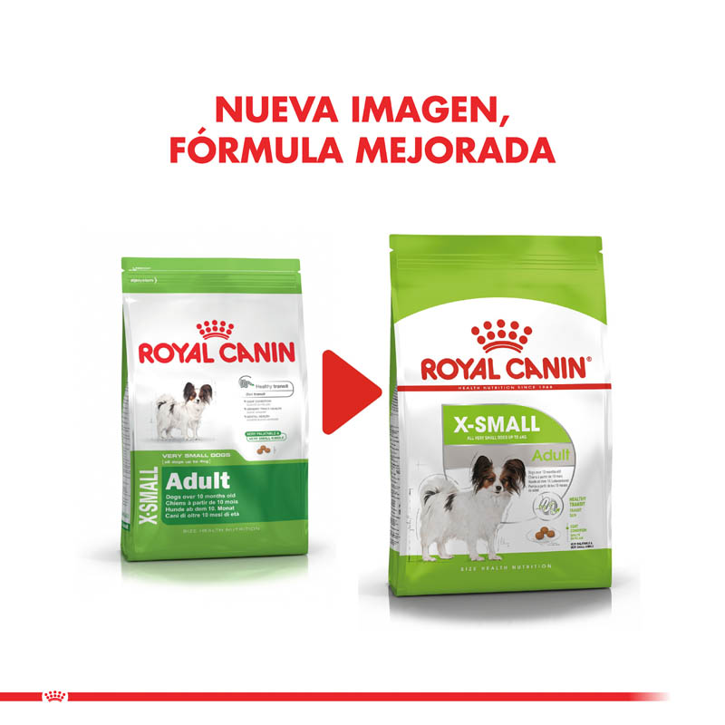 royal-canin-x-small-adulto