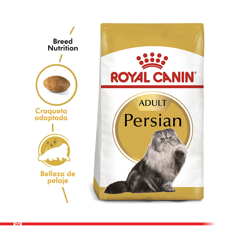 royal-canin-gato-adulto-persa