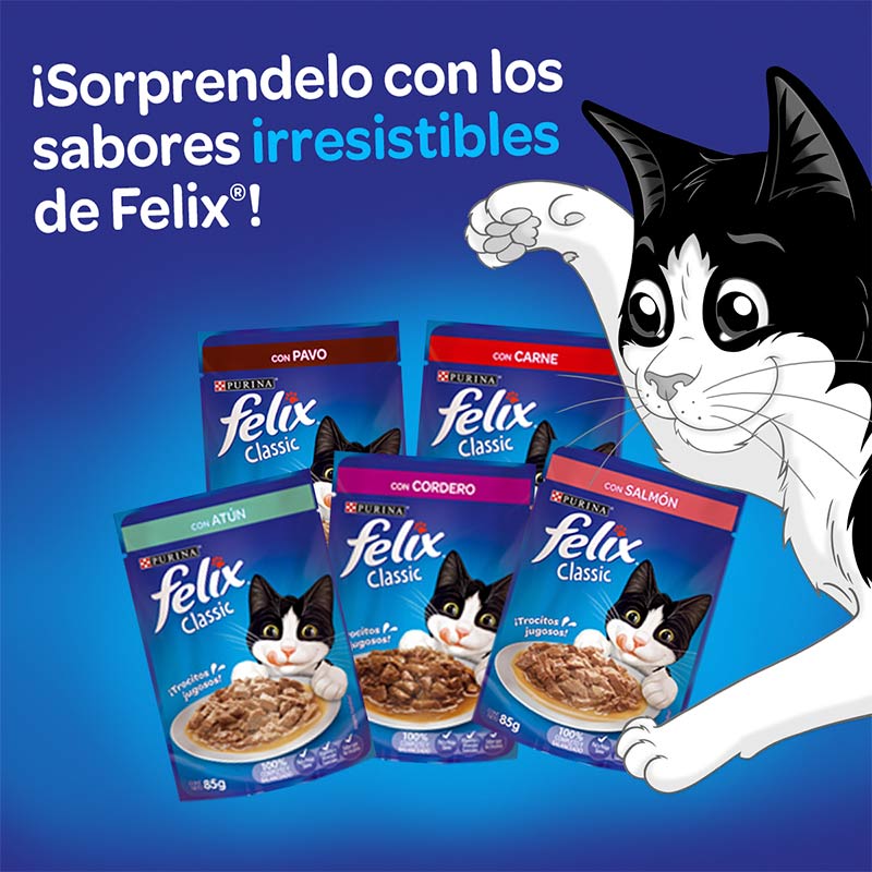 felix-classic-con-pavo