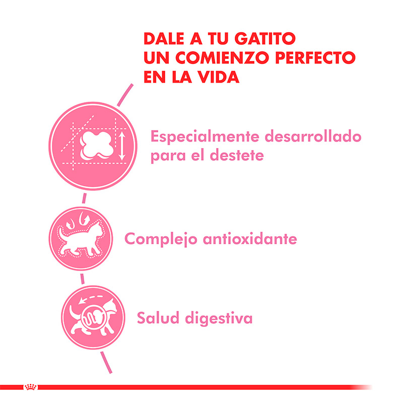 royal-canin-alimento-para-gatitos-yo-gatas-en-gestacion-y-lactancia-mother-and-babycat