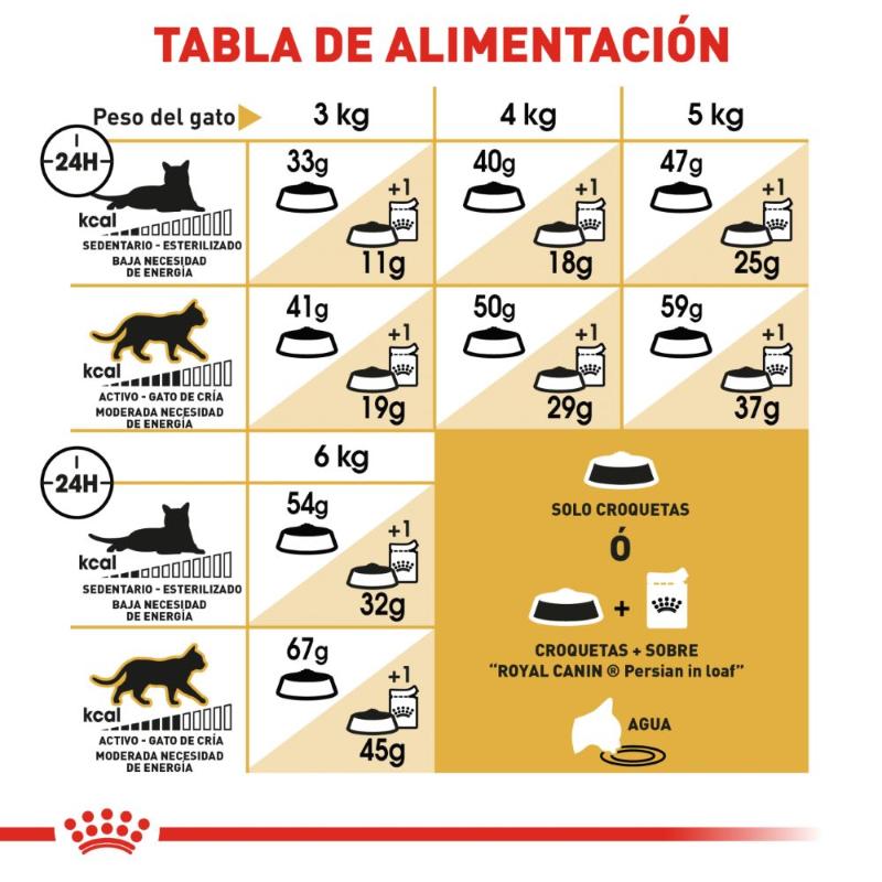 royal-canin-persa-adulto