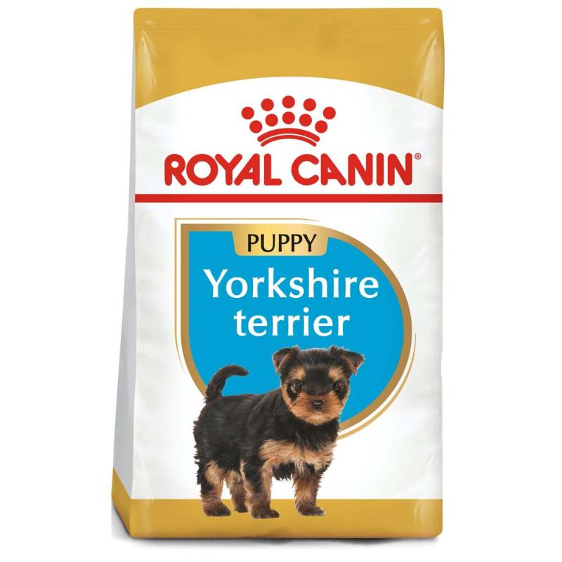 royal-canin-yorkshire-terrier-cachorro