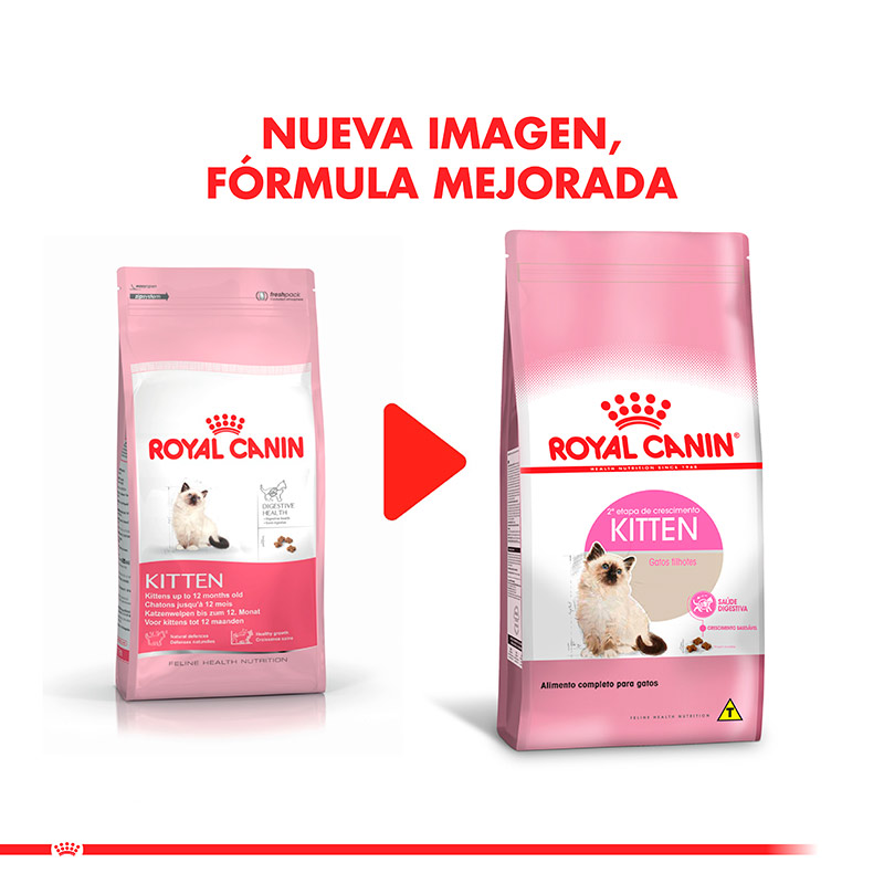 royal-canin-kitten