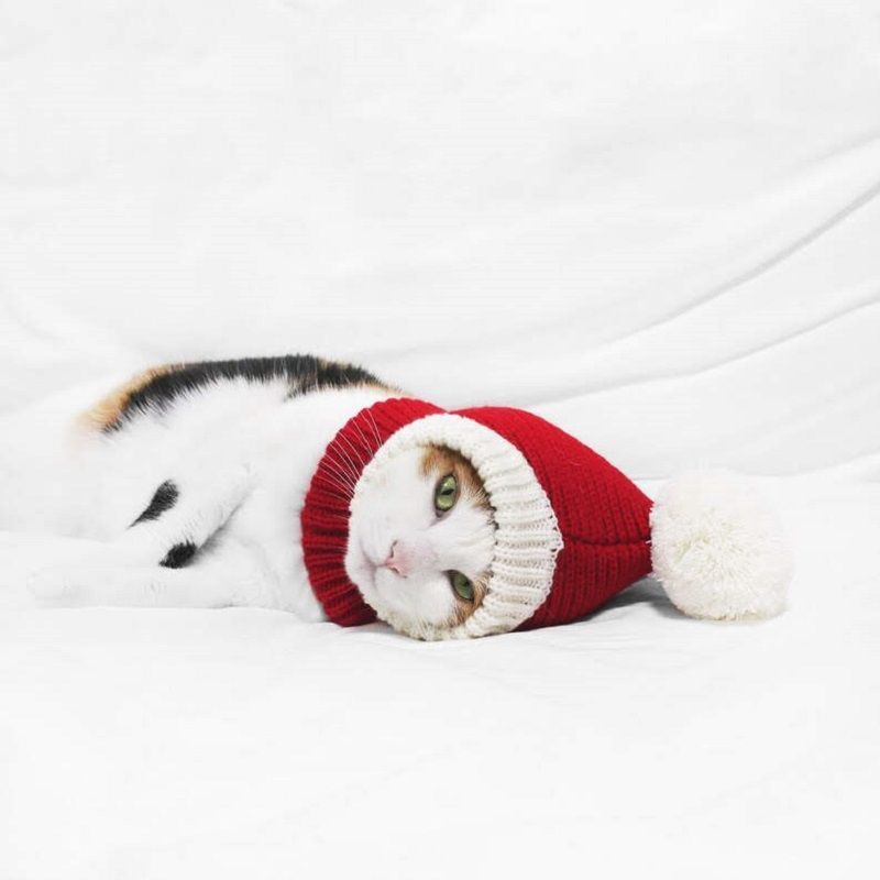 valentin-for-pets-gorro-tejido-navideno-rojo-entrega-en-4-dias-habiles