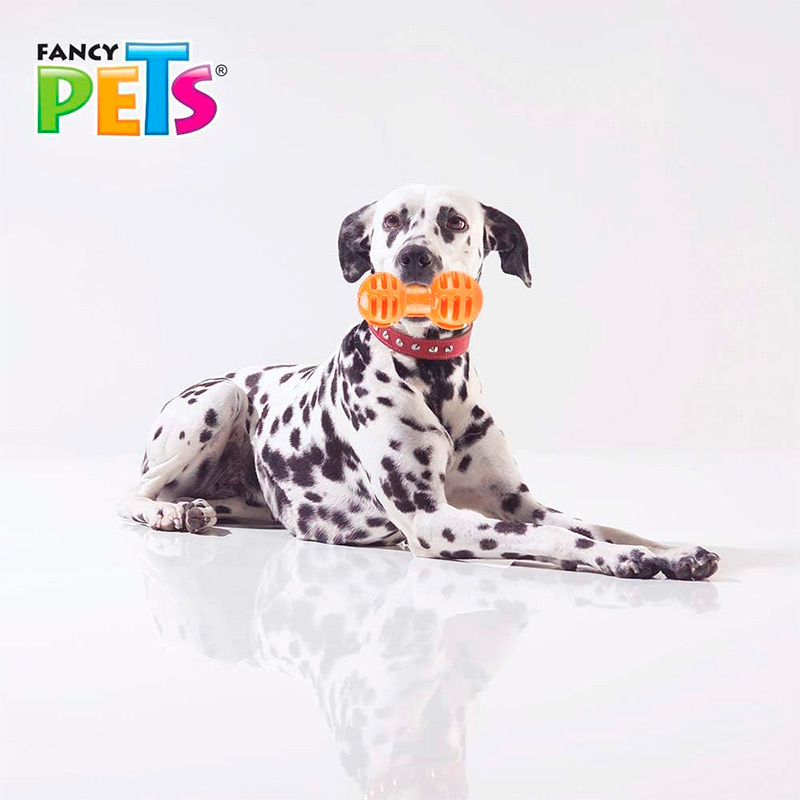 fancy-pets-pesa-para-premio