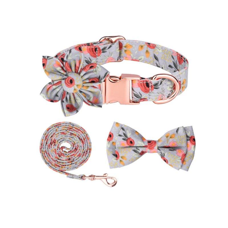 calabaza-pets-set-collar-mono-y-trailla-floral