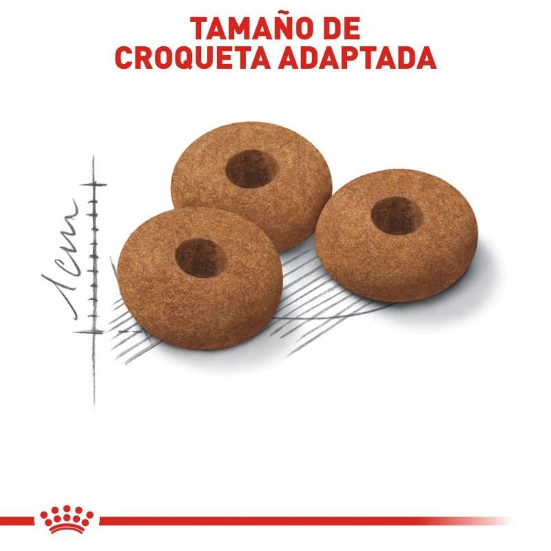 royal-canin-alimento-control-de-apetito-gato-esterilizado