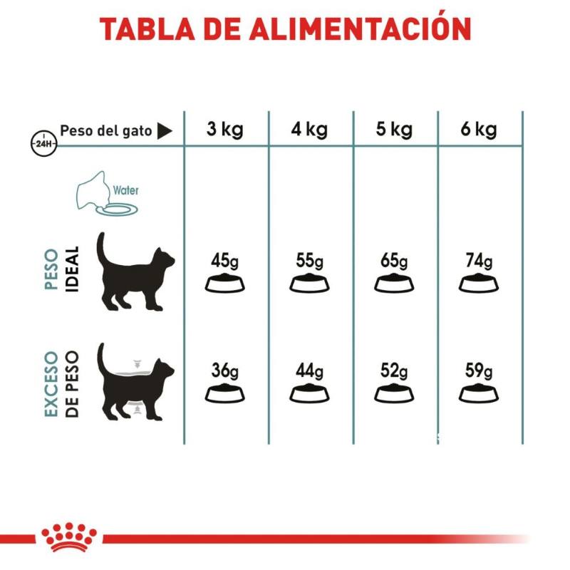 royal-canin-alimento-control-bolas-de-pelo-gato