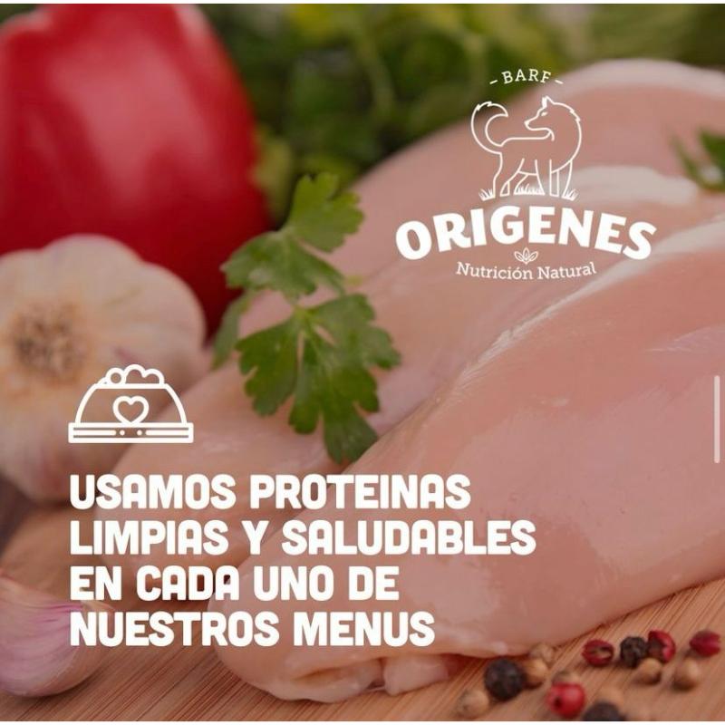 origenes-menu-light-pollo