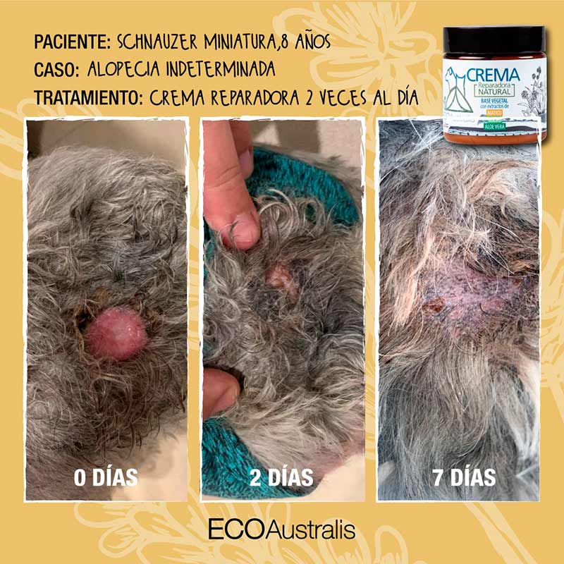 ecoaustralis-crema-reparadora-natural-matico-boldo