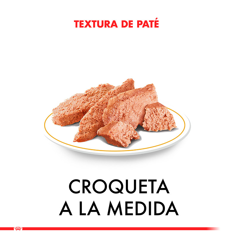 royal-canin-alimento-humedo-perro-adulto-dachshund