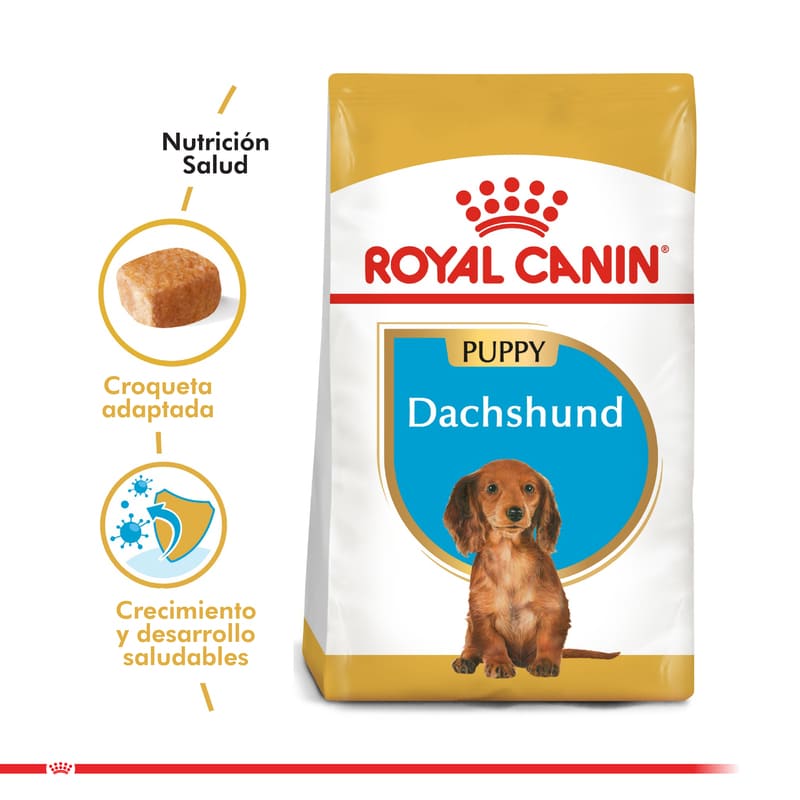 Royal Canin - Alimento Cachorro Dachshund Puppy