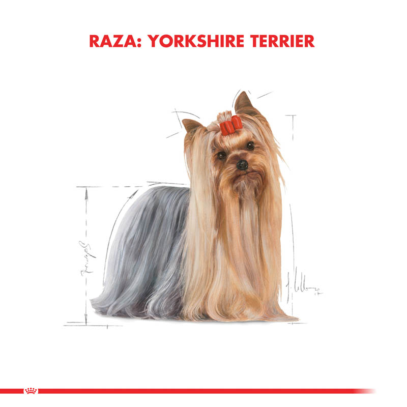 royal-canin-yorkshire-terrier-pouch