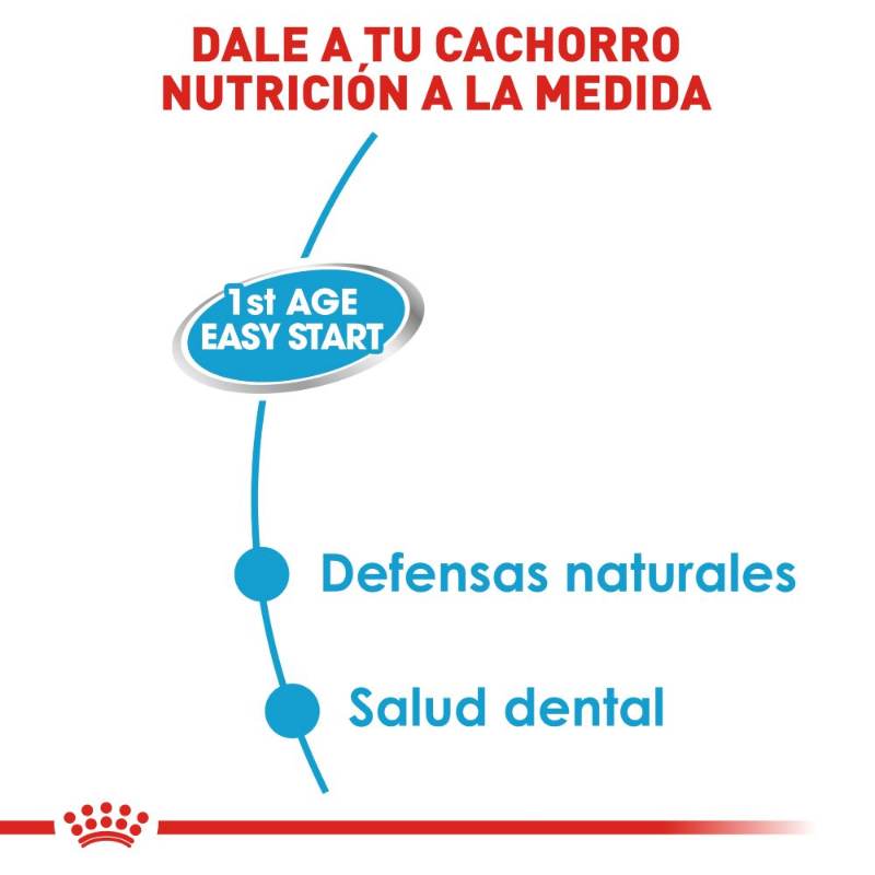 royal-canin-starter-mousse-lata