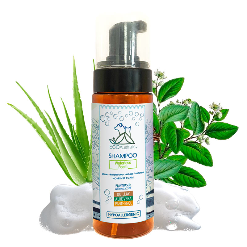 ecoautralis-shampoo-sin-enjuague-quillay-aloe-y-pantenol