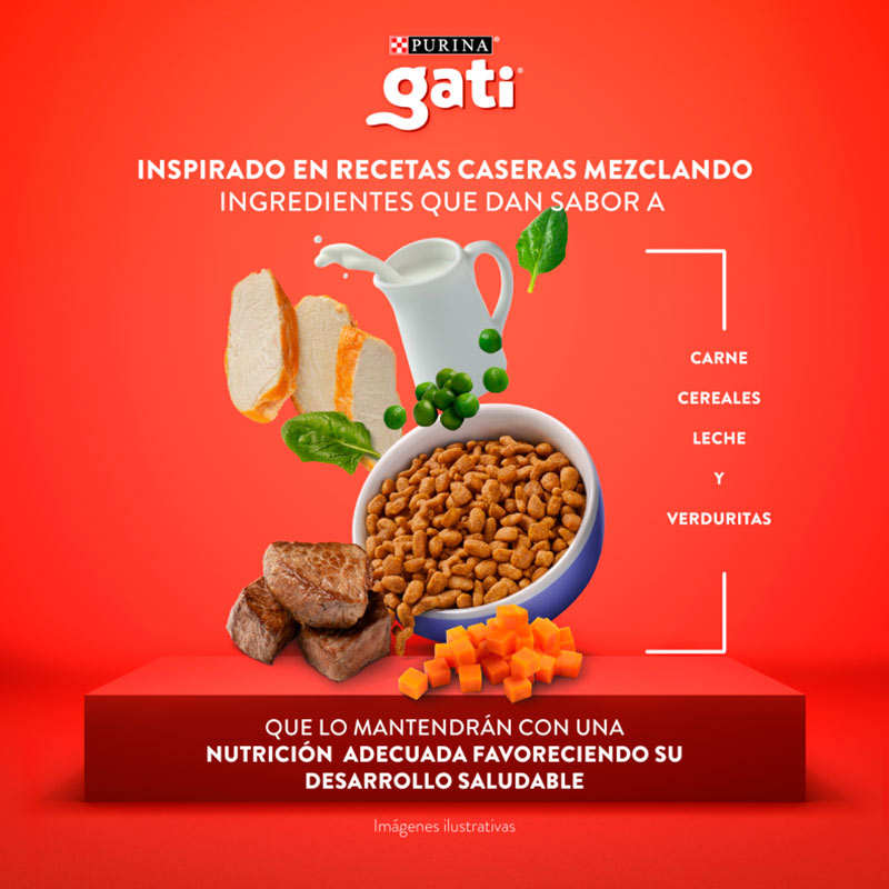 gati-alimento-seco-gatitos-sabor-mix-de-carnes