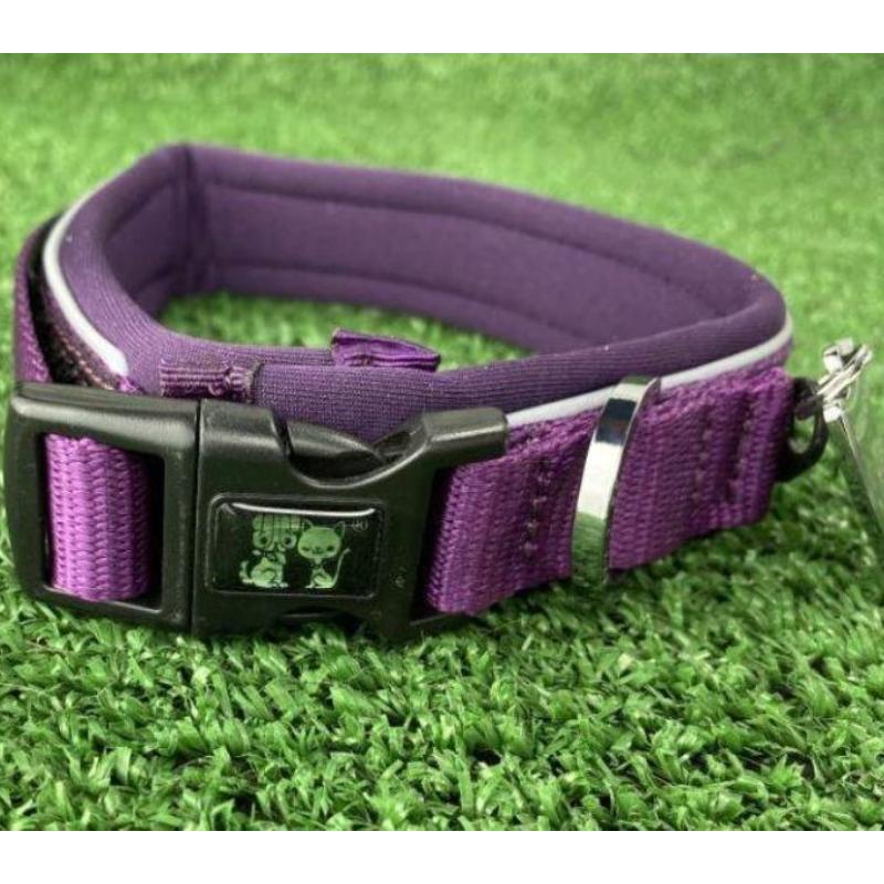 dogness-collar-classic-morado-perro