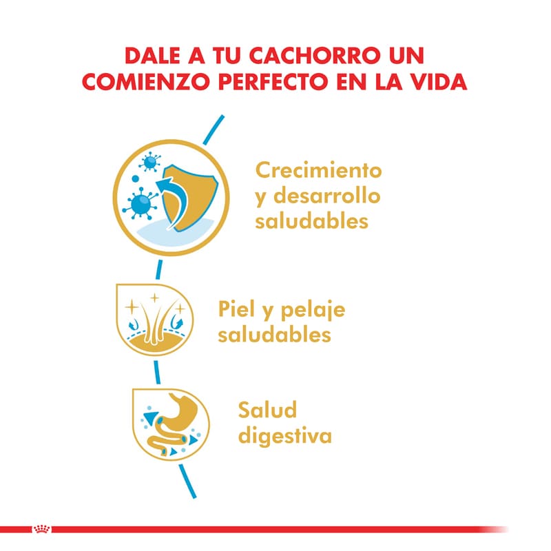 royal-canin-alimento-seco-perro-cachorro-shih-tzu-puppy