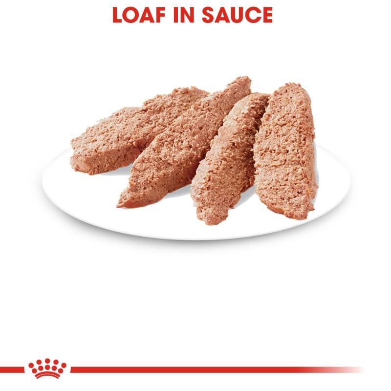 royal-canin-alimento-humedo-ultra-light-loaf-in-sauce-lata