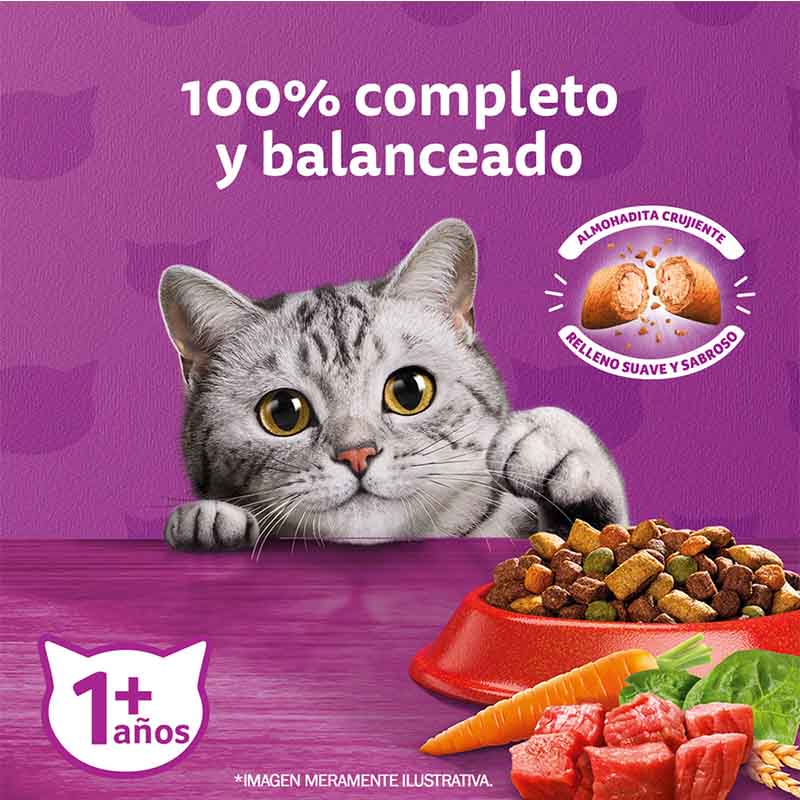 whiskas-alimento-seco-para-gato-adulto-sabor-carne