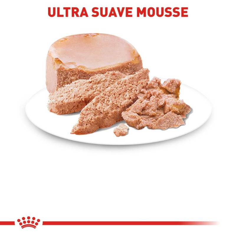 royal-canin-starter-mousse-lata