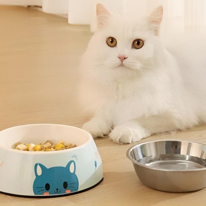 calabaza-pets-comedero-doble-con-disenos
