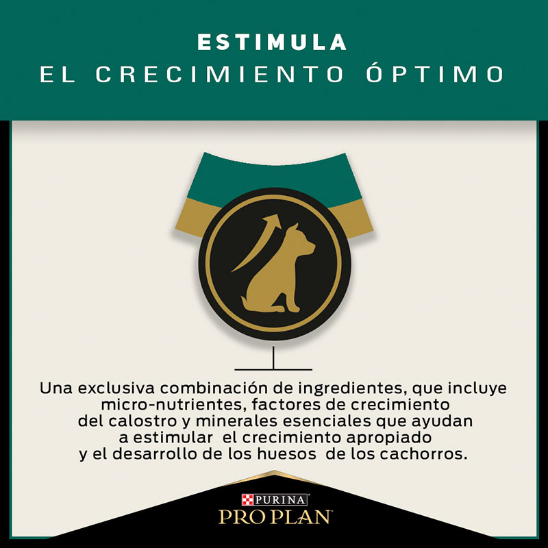 pro-plan-dog-puppy-optistart-raza-grande