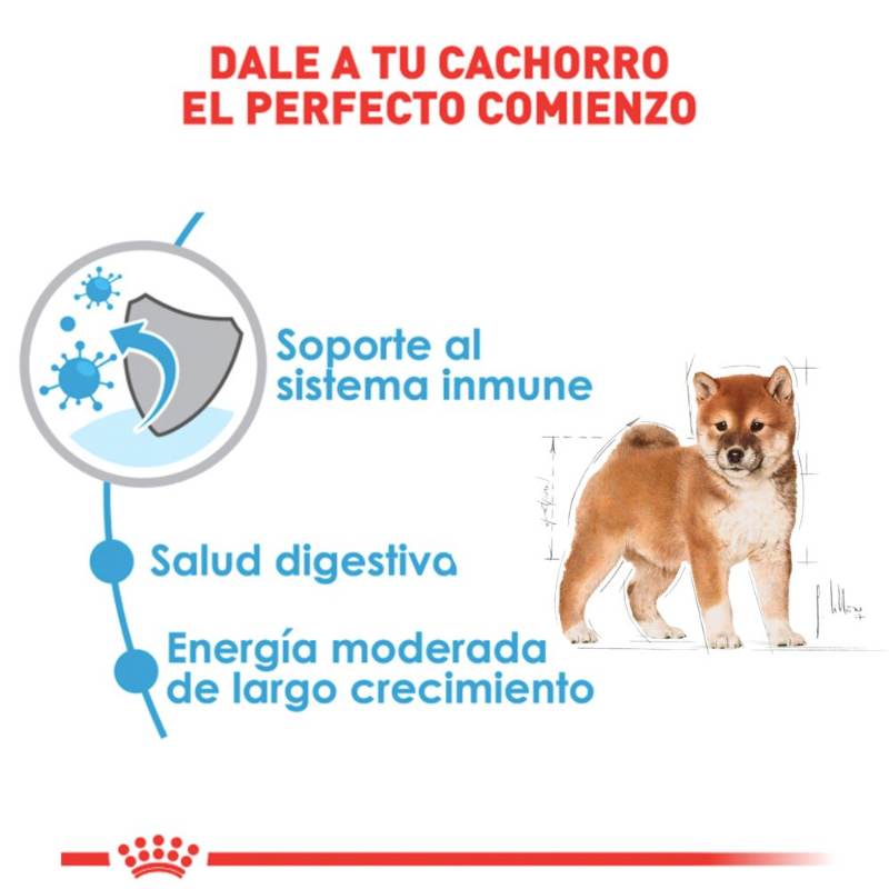royal-canin-alimento-humedo-cachorro-todas-las-tallas-receta-pollo