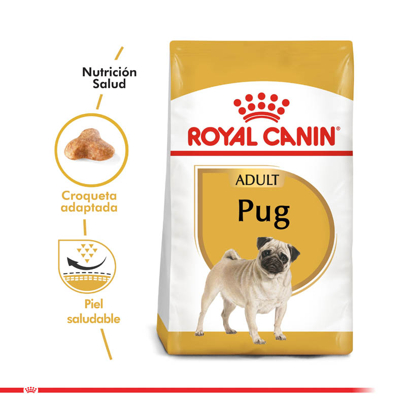 royal-canin-pug-adulto