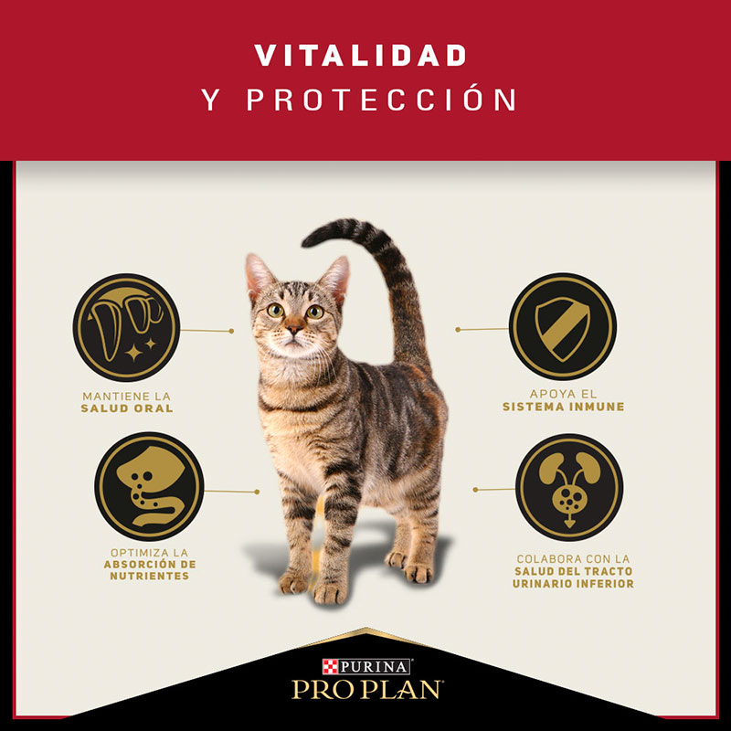 pro-plan-cat-adult-optidigest