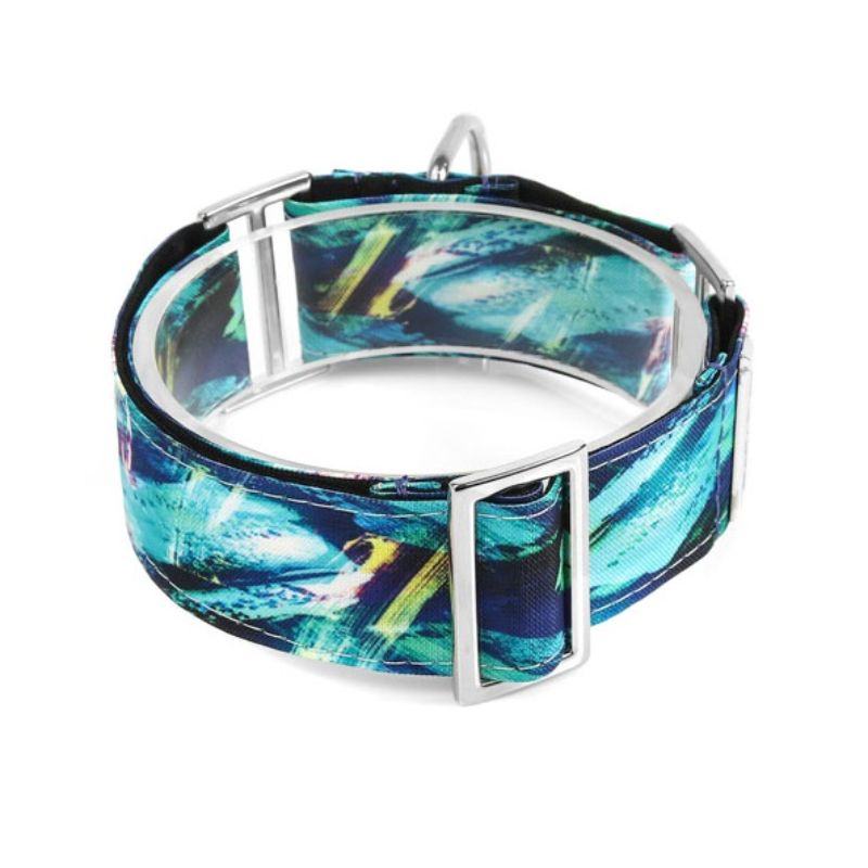 bellcher-collar-martingale-holograma-25-cm