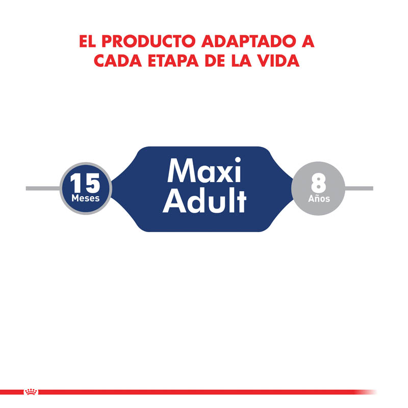 royal-canin-maxi-adulto-pouch