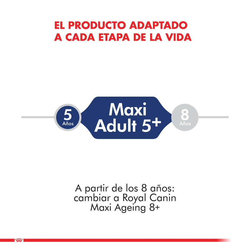 royal-canin-maxi-adulto-5