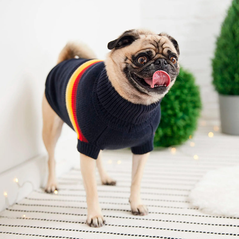 gf-pet-sweater-retro-azul-marino