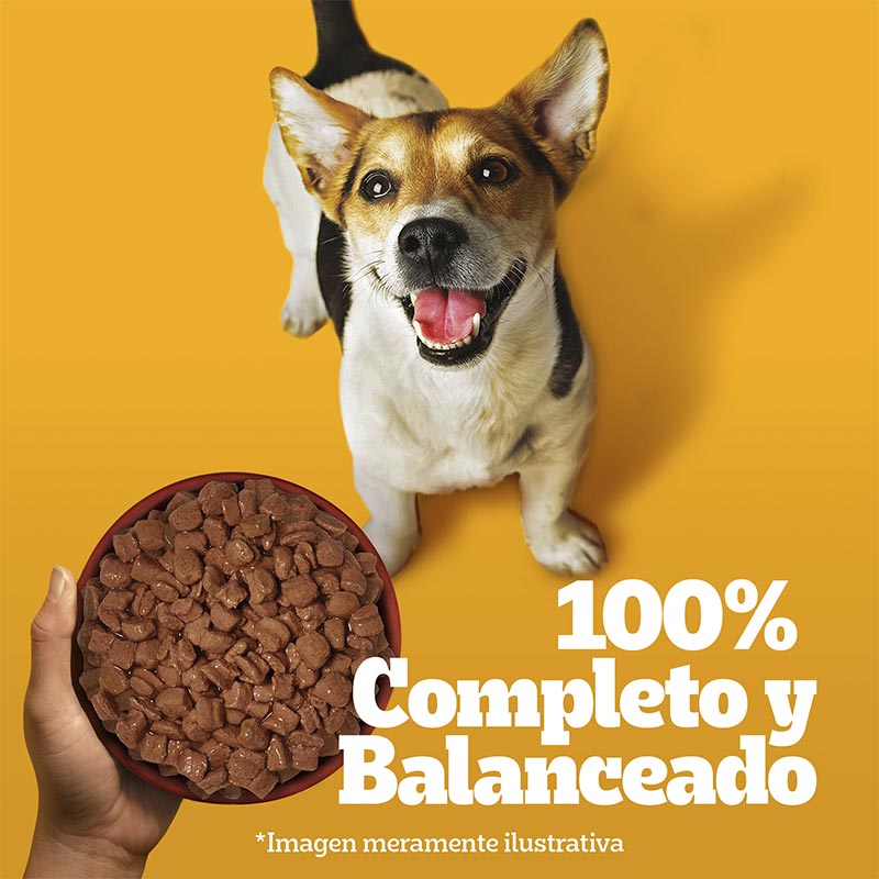 pedigree-alimento-humedo-sobrecito-perro-raza-pequena-carne