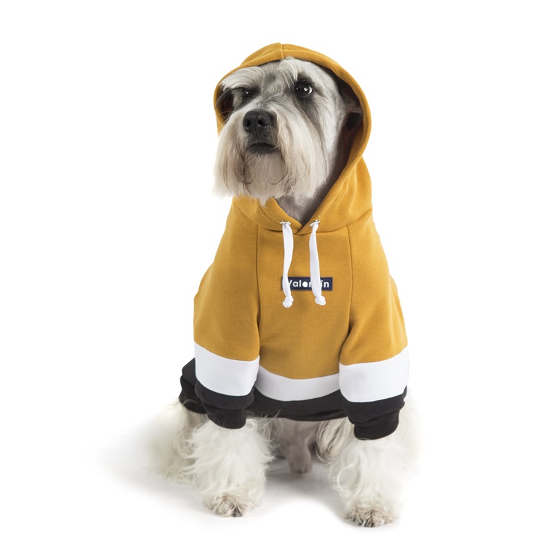 valentin-for-pets-hoodie-tricolor-amarillo