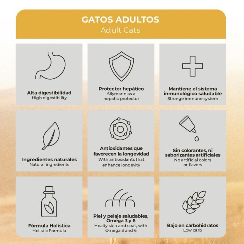 true-nature-alimento-para-gatos-adultos-sabor-salmon