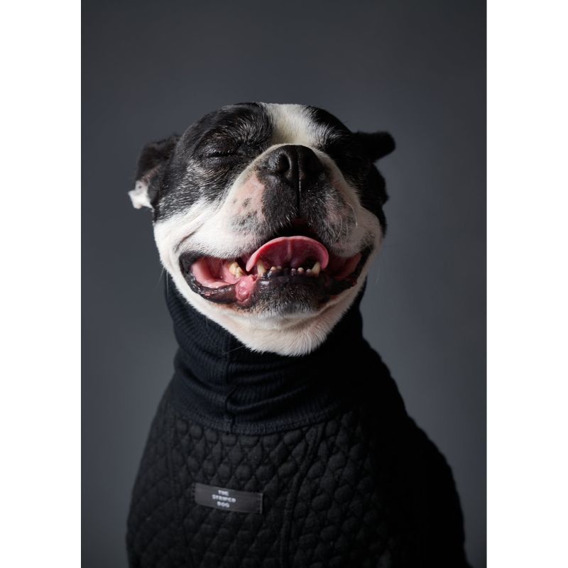 the-striped-dog-sueter-negro-cuello-tortuga