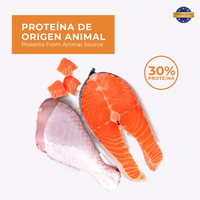 true-nature-alimento-para-gatos-adultos-sabor-salmon