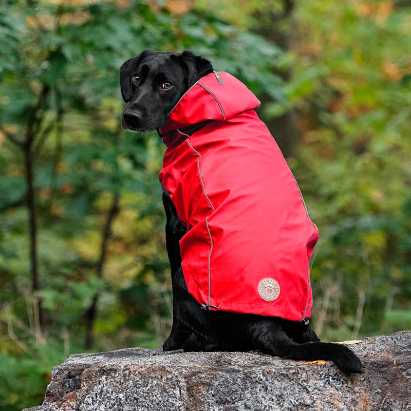gfpet-impermeable-reversible-rojo