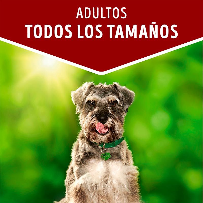 dog-chow-adultos-todos-los-tamanos-cordero