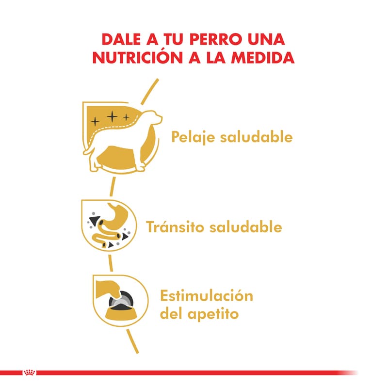 royal-canin-alimento-humedo-perro-adulto-chihuahua
