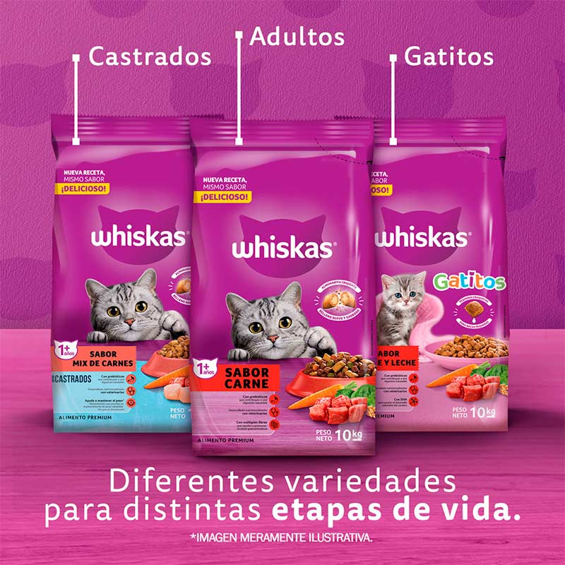 whiskas-alimento-seco-para-gato-adulto-sabor-carne