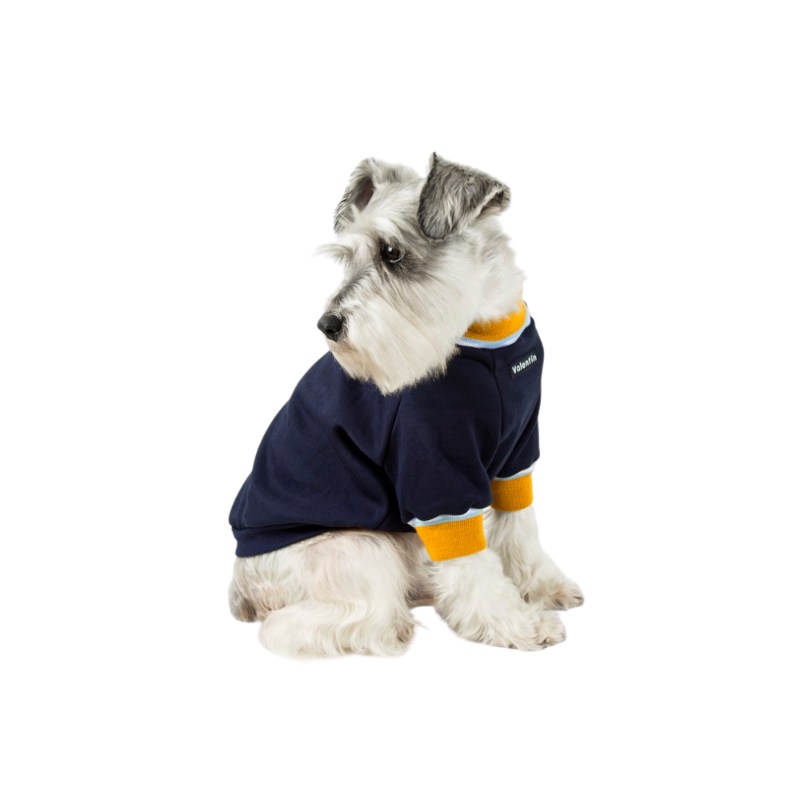 valentin-for-pets-sueter-azul-oscurl-d-boy