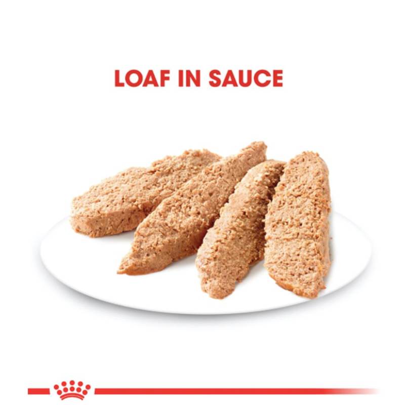 royal-canin-alimento-humedo-cachorro-todas-las-tallas-receta-pollo
