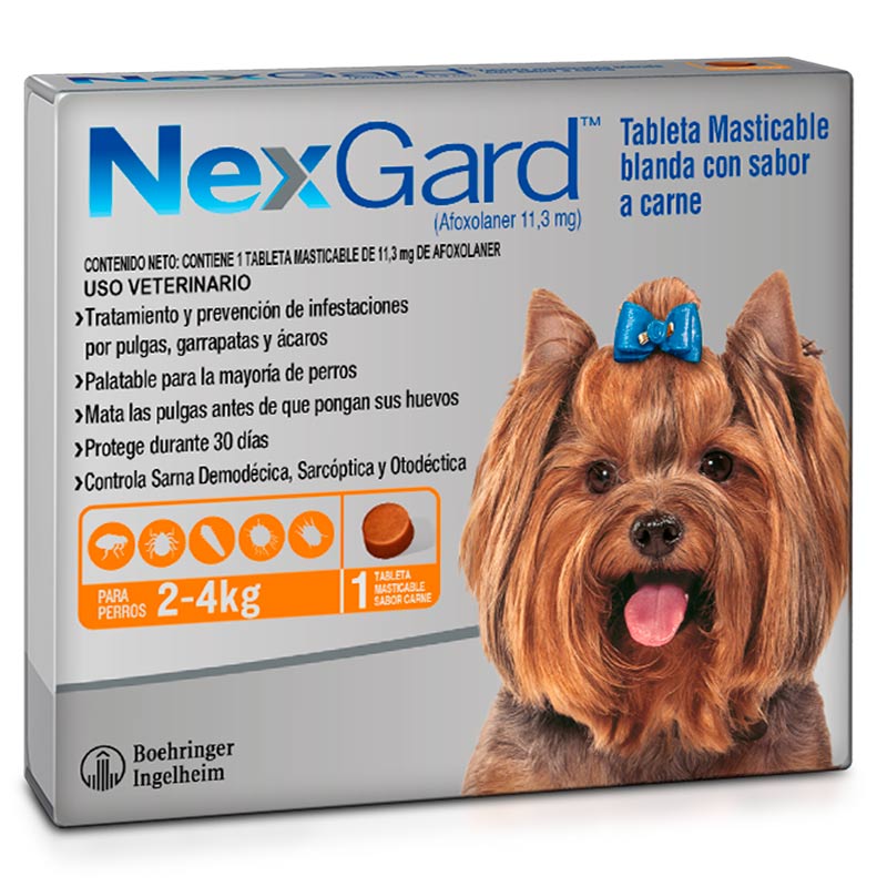 NexGard - Perros De 2 Hasta 4 Kg
